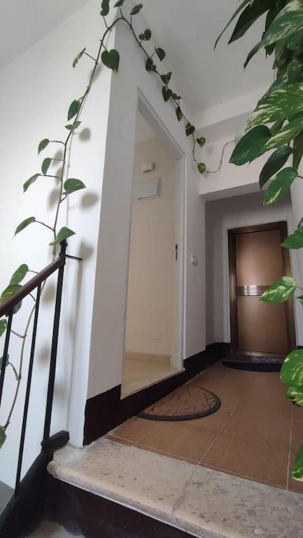 Penthouse In The Center Apartment Cadiz Luaran gambar